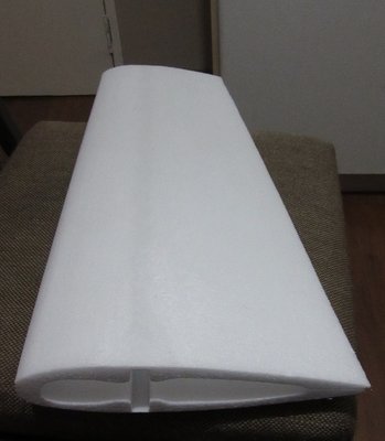 15 size trainer wing 2.jpg